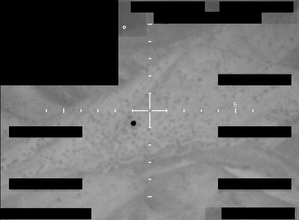PURSUEで公開されたUAP映像の一場面。画面端に黒塗りの帯が入っている
